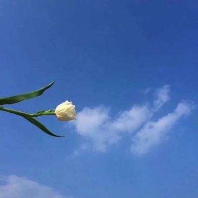 五转龙诀游戏