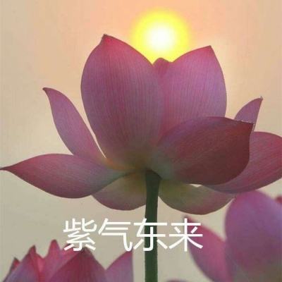 九州八荒录九游最新版下载
